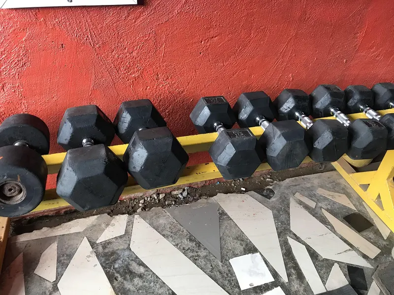 A row of black hexagonal dumbbells on a rack against a red wall