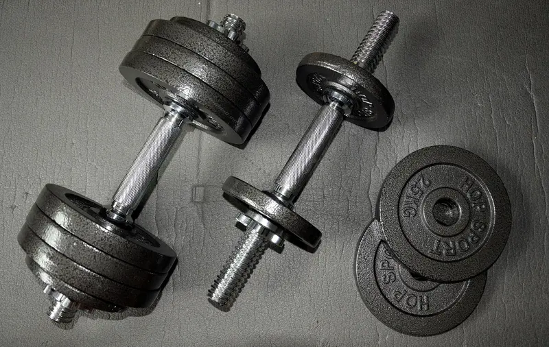 Two adjustable dumbbell handles with cast-iron plates on a grey floor